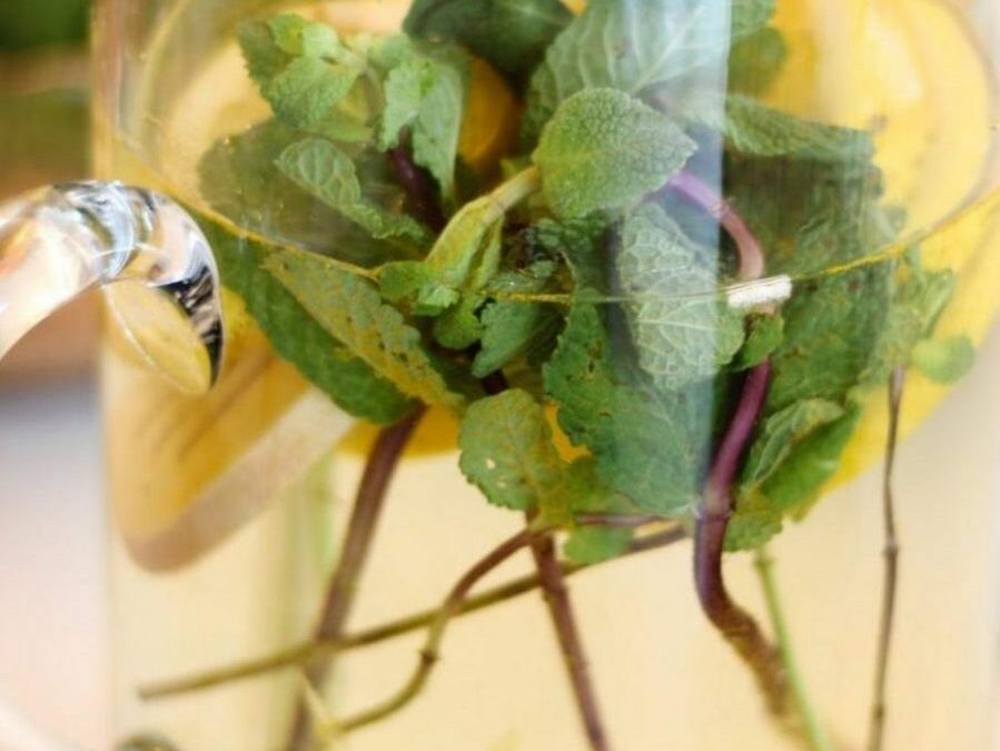 Bebida aromatizada de hortelã, limão e canela